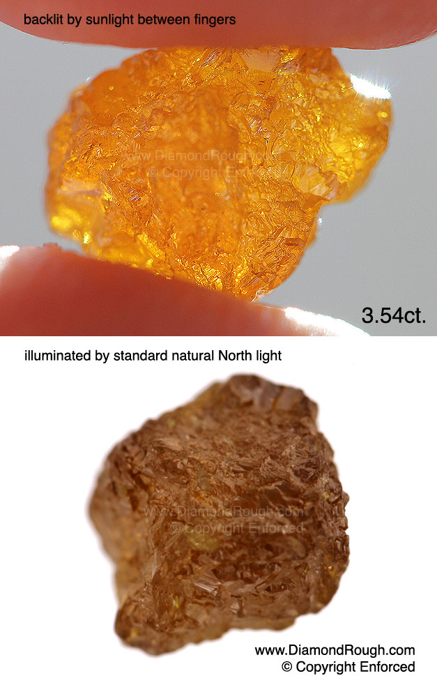 large sample